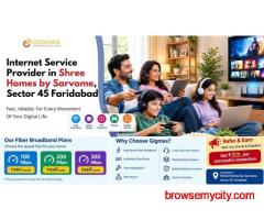 Internet Service Provider in Shree Homes by Sarvome, Sector 45, Faridabad