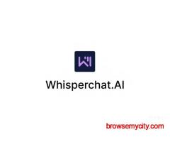 Chatbot for Website Support and Customer Assistance