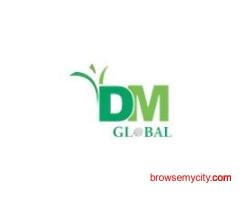 Top Pharma Franchise Company in India | DM Pharma Global