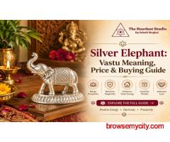 Shop Pure Silver Elephant Online at Best Price | The Stardust Studio