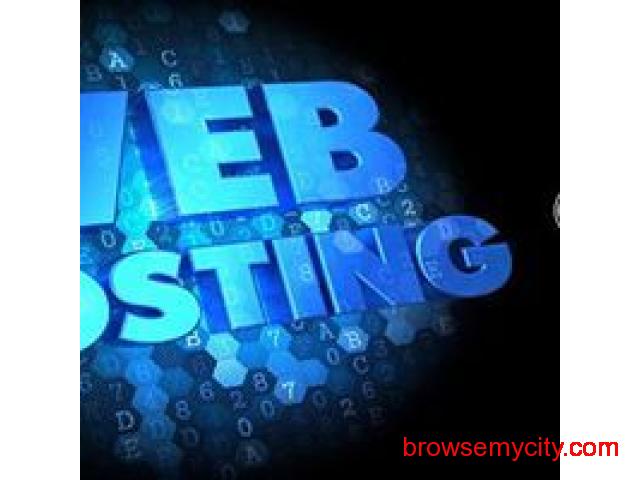 Customised Web Hosting Plans At Budget Friendly Rates 73751 Images, Photos, Reviews